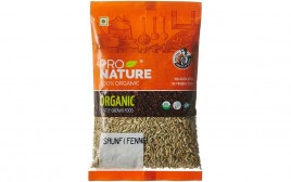 Pro Nature Organic Saunf (Fennel)   Pack  100 grams